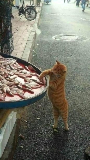 Balığa limon sıkılır mı? Sıkılmaz mı?