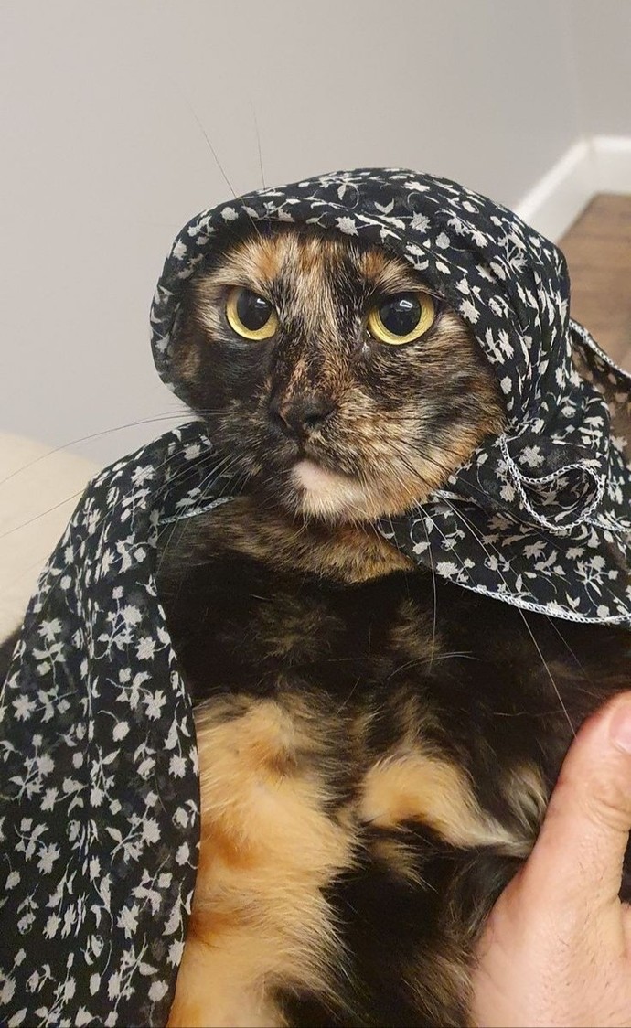 Yapmak isteyip de yapamadığınız bir şey var mı?