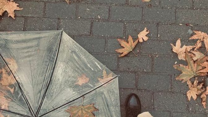 Bu aralar ihtiyacınız olan tek şey nedir?