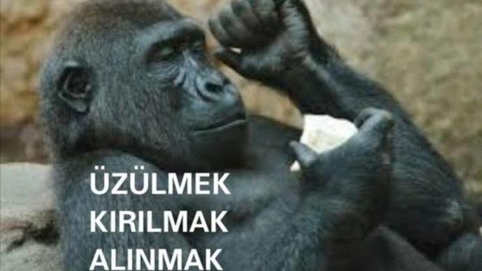 Iyi aksamlar bana yardim kim etmek?