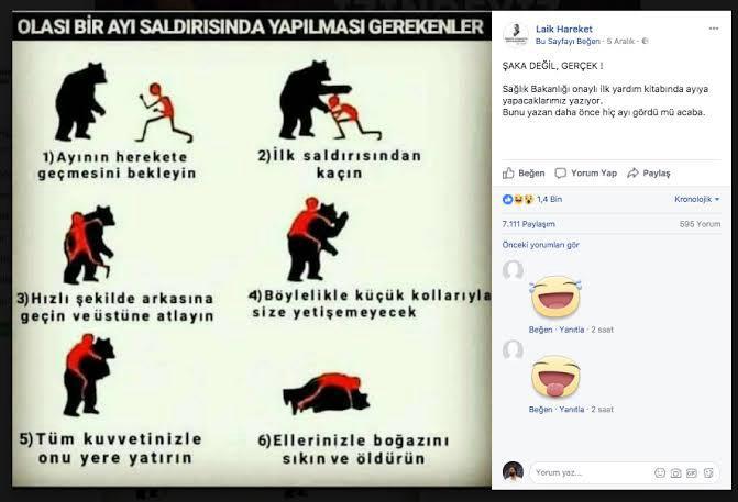 Ayı saldırsa ormanda ne yaparsın:)?