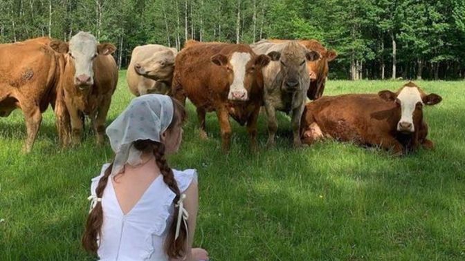 Hangi işi tercih etmeliyim: öğretmenlik mi, işletmecilik mi, çobanlık mı?