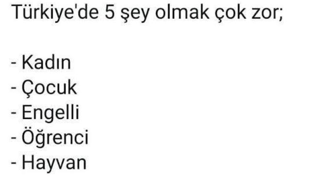 Türkiye'de ne olmaz zor?