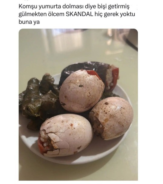 Daha önce yumurta dolması yediniz mi?