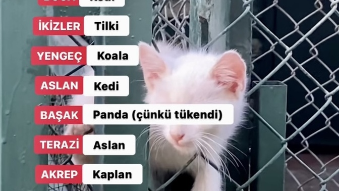 Burçlar hayvan olsaydı ne olurlardı?