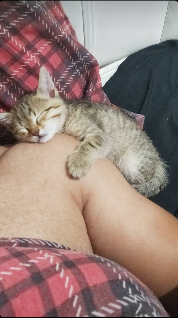 Kendinizi en çok mutlu ve güvende hissettiğiniz yer neresi?