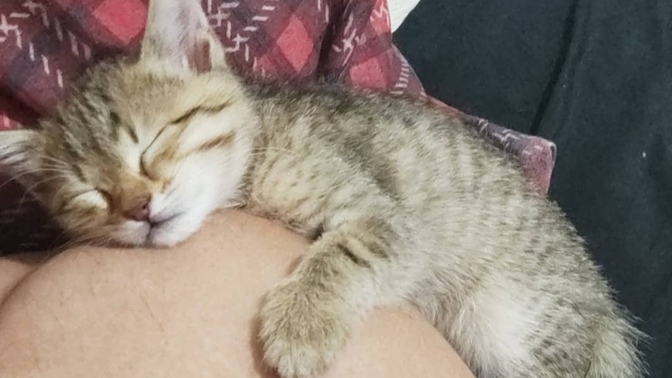Kendinizi en çok mutlu ve güvende hissettiğiniz yer neresi?