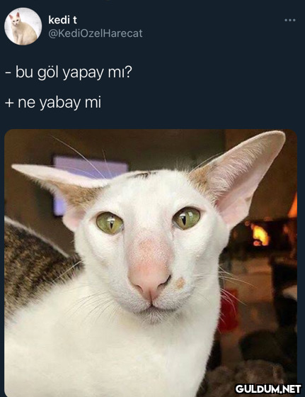 Burnunuzu beğeniyor musunuz?