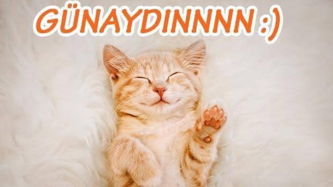 Günaydın mesajı sorunsalı?
