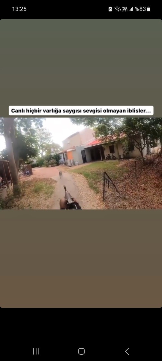 Hamas 3 kurs_nla Köpek oldrdu ne dersiniz?