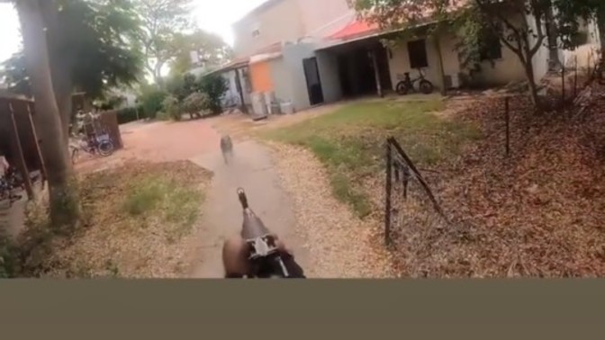 Hamas 3 kurs_nla Köpek oldrdu ne dersiniz?