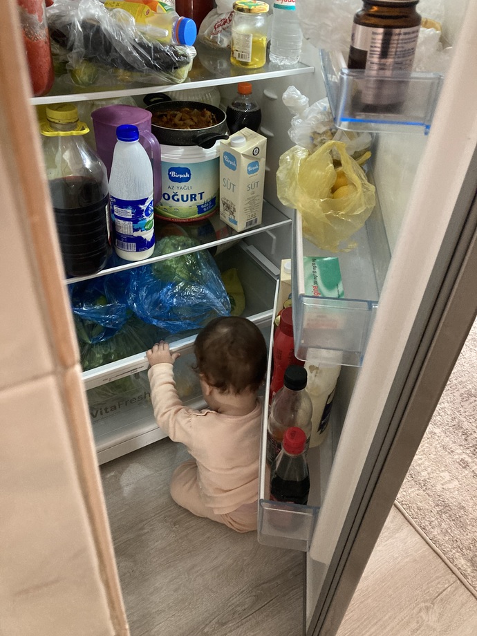 Buzdolabında fare yakaladım, bu fareyi ne yapayım?