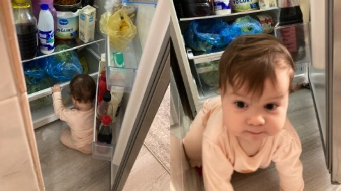 Buzdolabında fare yakaladım, bu fareyi ne yapayım?
