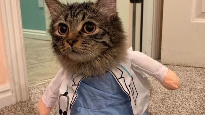 Doktor seçiminde ilk tercihim hemcinsim olmasıdır gibi bir düşünceniz var mıdır?