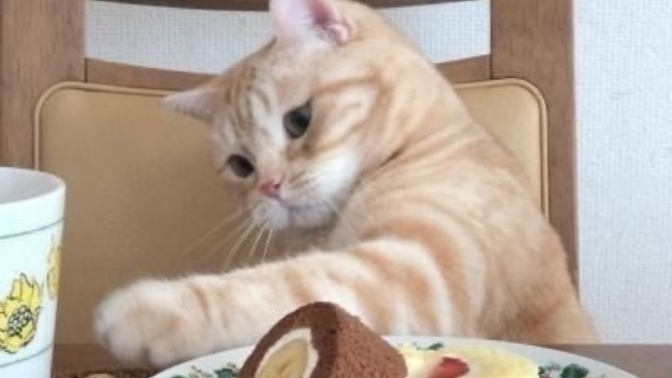 Bir tatlı olsaydınız sütlü mü yoksa şerbetli tatlı mı olurdunuz?