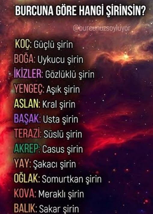 Burcuna göre hangi şirinsin?