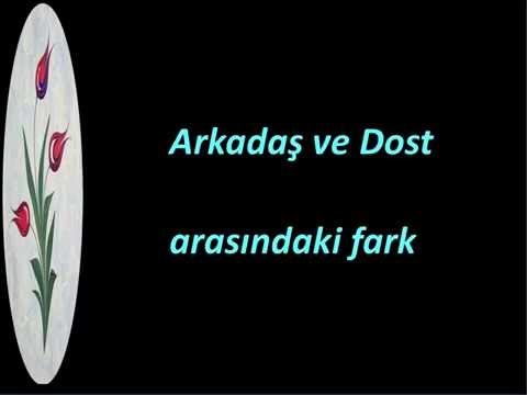 Arkadaş ve dost arasındaki fark nedir?