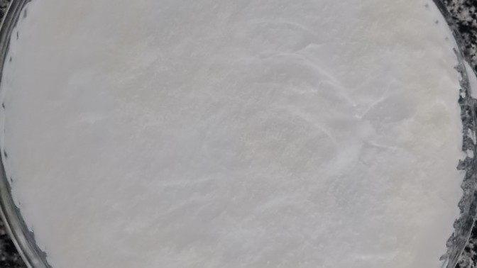 Haşhaşlı revani tatlısı yaptım sizce nasıl olmuş?