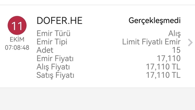 Dofer halka arzda sorun yaşıyorum, neden olabilir?