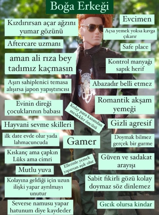 Boğa erkeği tanıtım belgesi nedir?