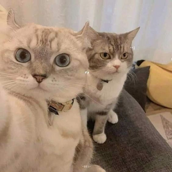 Tam şu anda neyin peşindesin?