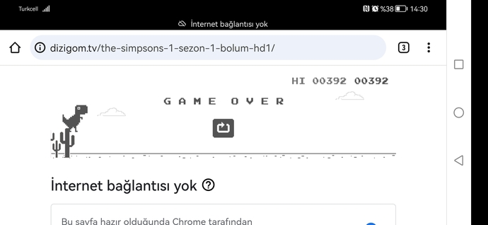Bilgisayar/mobil oyunlarını seviyor musunuz?