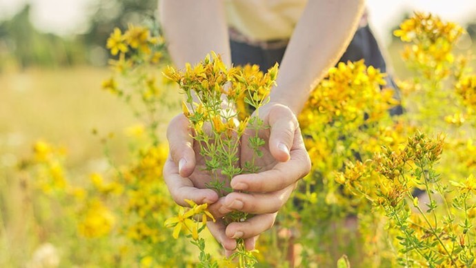Favori renginiz nedir?