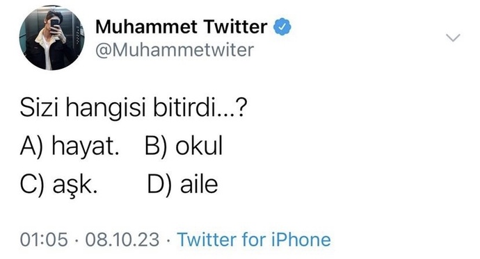 Sizi hangisi bitirdi?