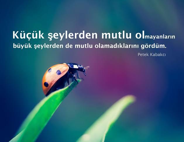 Insanın mutlu olması için gerekli olanlar nelerdir?