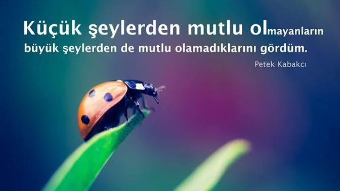 Insanın mutlu olması için gerekli olanlar nelerdir?