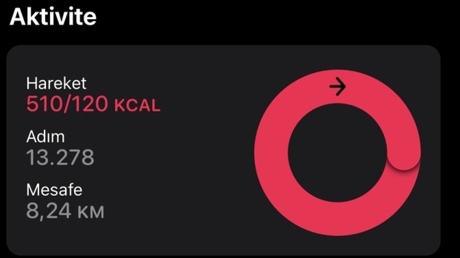 Bugün kaç adım attınız?