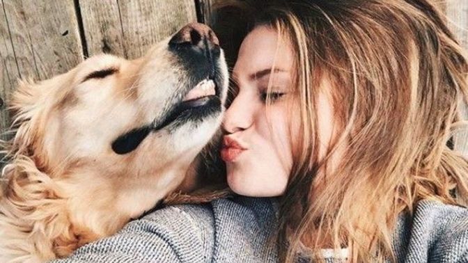 Sizce bebek yerine kedi, köpek büyütülür mü?