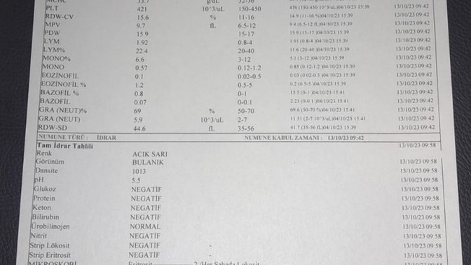 Geçmeyen dil ağız yarası nefes darlığı boğazda uyuşma baş dönmesi mide bulantısı ayaklarda şişme kas ağrısı ve ishal neden olur?