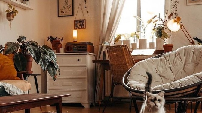Evinizde kullanmaktan hoşlanmadığınız bir eşya var mı?