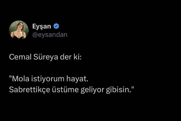 Bu ara ne istiyorsunuz?
