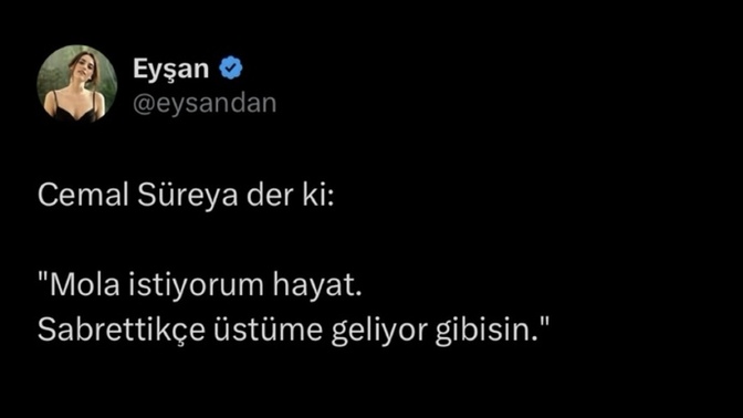 Bu ara ne istiyorsunuz?