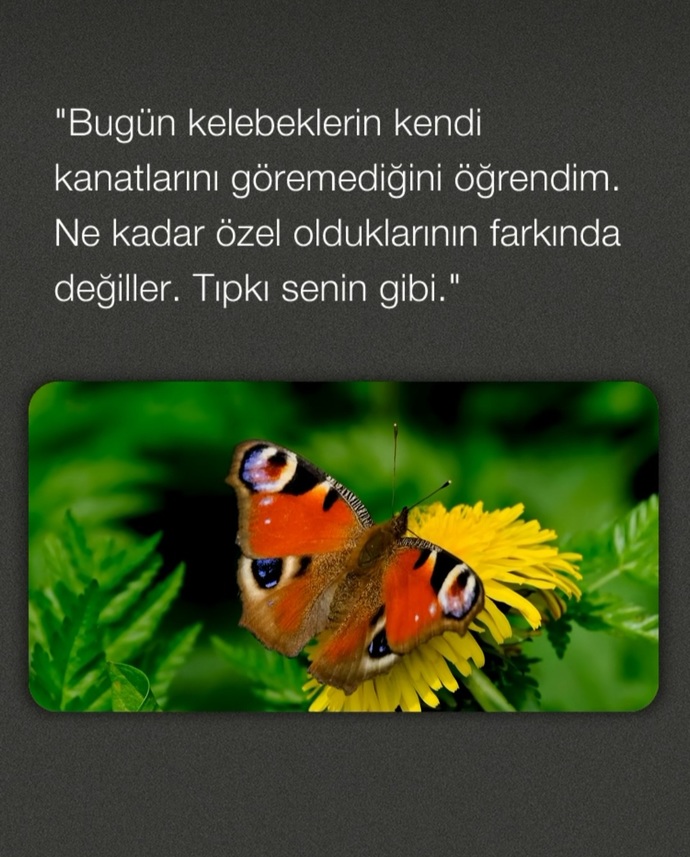 Her insan bir incidir kendinde olan güzelliğin farkında mısın? Güzellik anlayışınız nedir?