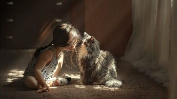 Tanımadığınız birini yarı yolda bırakabilir misiniz?