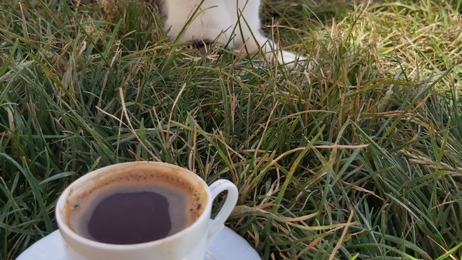 Pazar kahveni içtin mi?