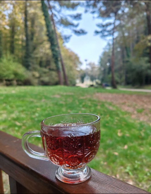 Kahveci misiniz, çaycı mısınız?
