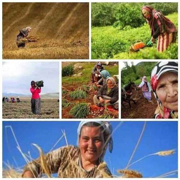 Bugün Dünya Kadın Çiftçiler Günü. Sizce kadın bereketin, yaşamın simgesi midir?