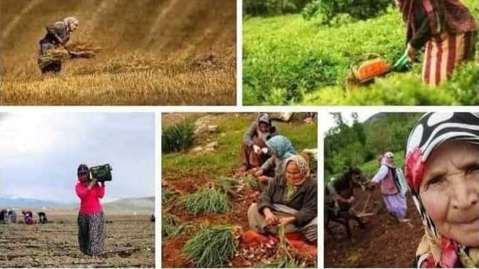 Bugün Dünya Kadın Çiftçiler Günü. Sizce kadın bereketin, yaşamın simgesi midir?
