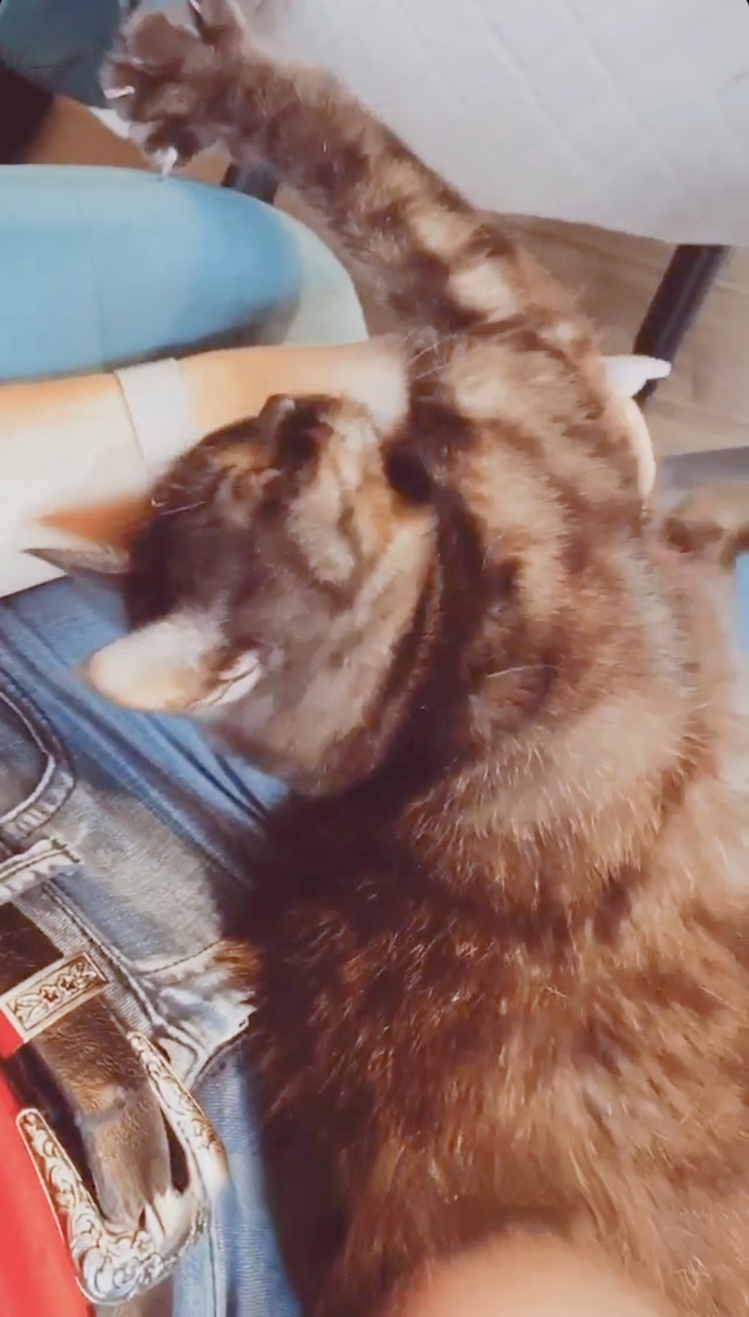 Bugün yüzünüzü gülümseten bir şey oldu mu?