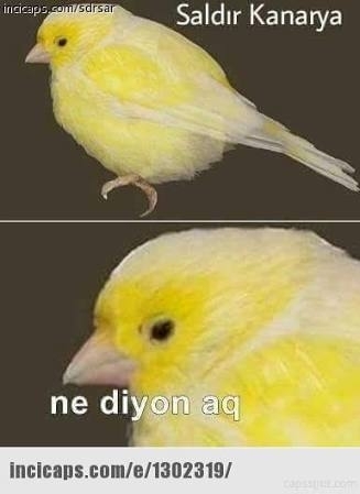 dsdsdssd
