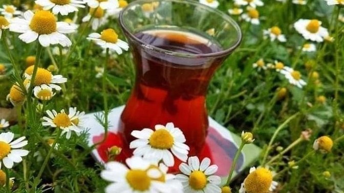 Çay nerede içilir?