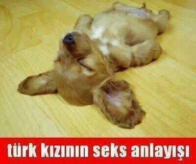 Seks nasıl bir şey?