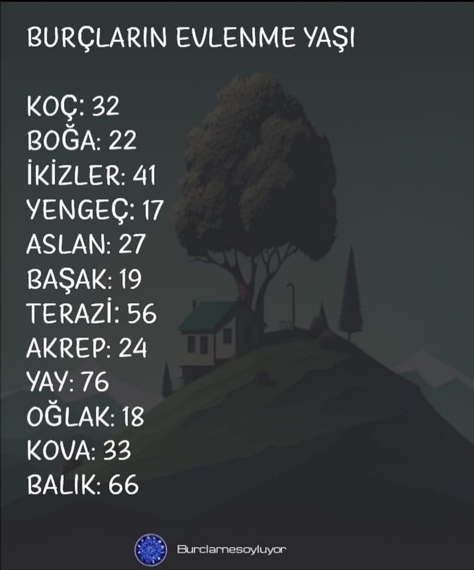😅😅