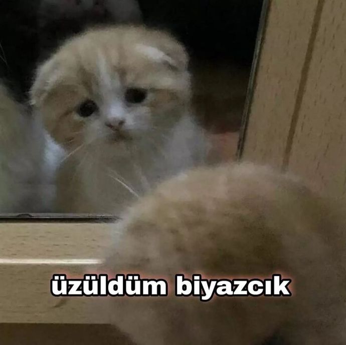 Şu an nasıl bir mesaj almak isterdin?