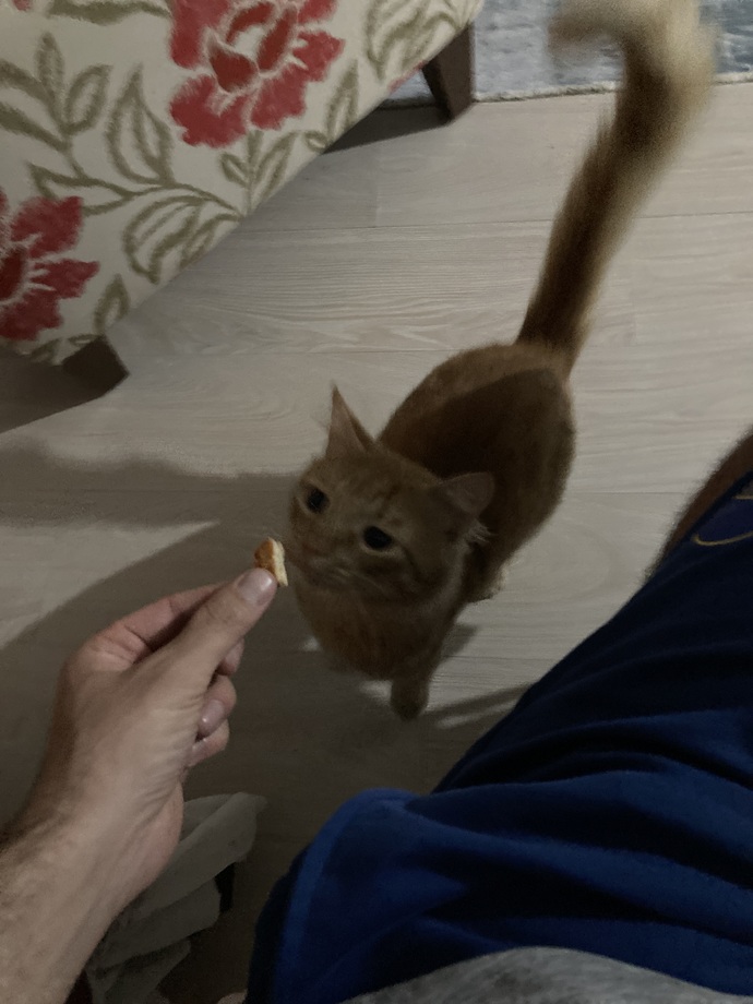 Sizin keyifler nasıl 🤪?