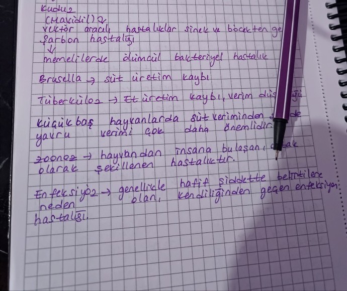 Sizce yazım güzel mi?